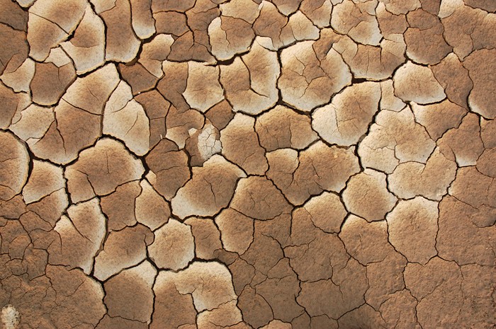 Cracked dry earth texture