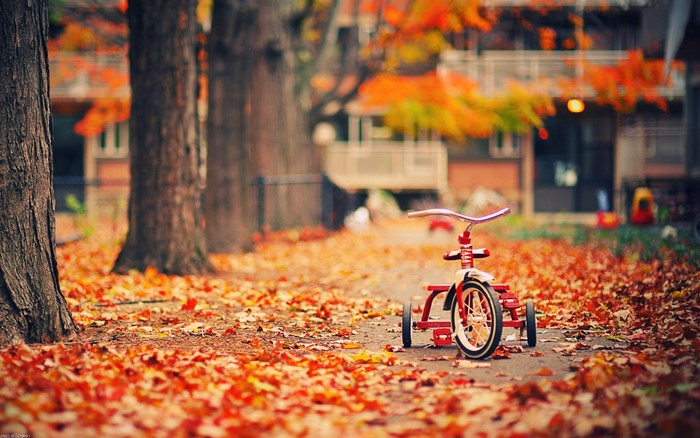 Red tricycle on a path covered in autumn leaves
