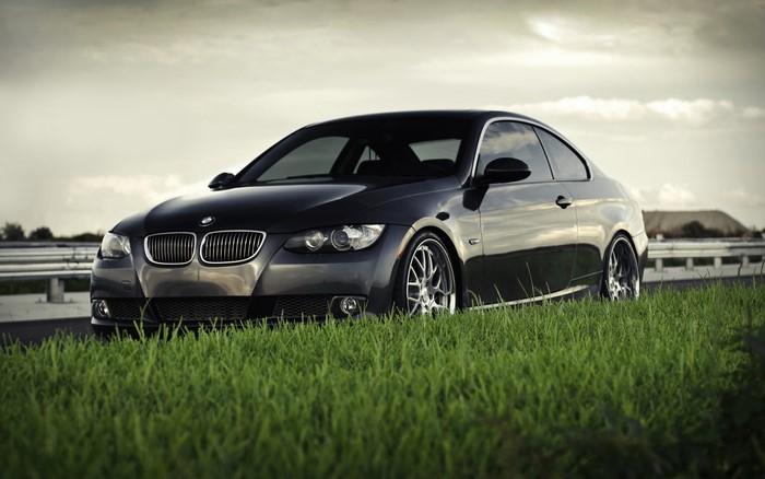 Black BMW coupe on grassy roadside