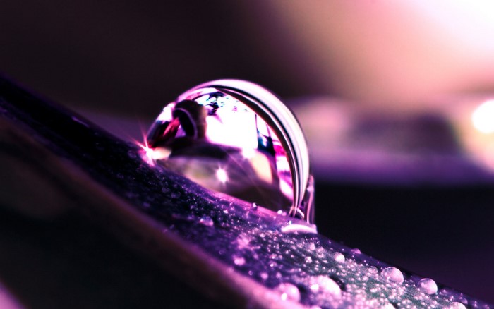 Water drop on a purple leaf