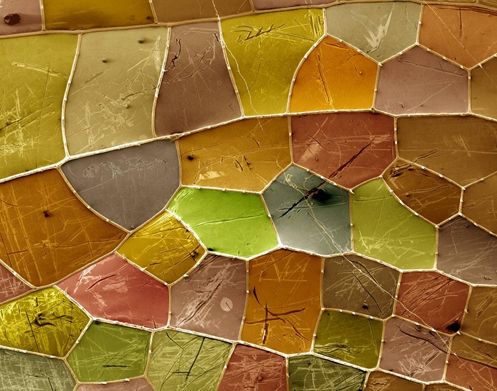 Abstract mosaic of colored geometric shapes
