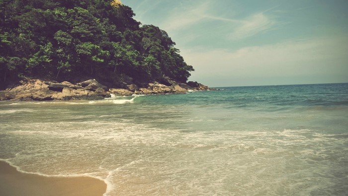 Beach with forested cliff and ocean waves