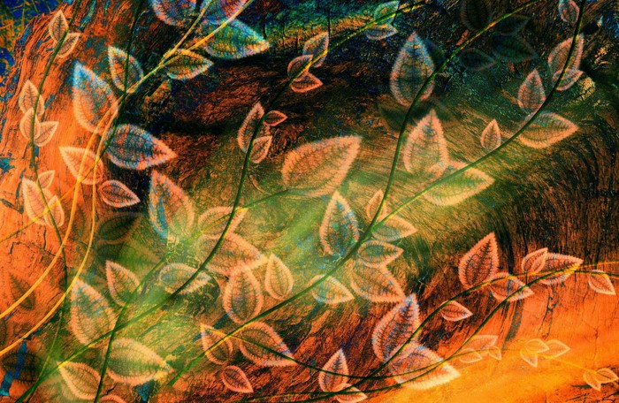 Artistic Nature with Leaves and Vines