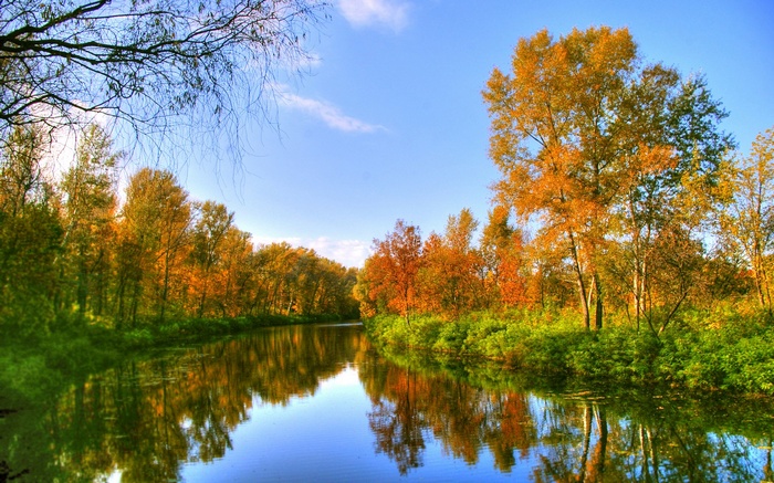 Autumn trees reflected in a calm river