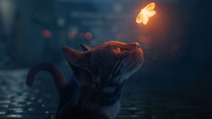 Cat looking at a glowing butterfly