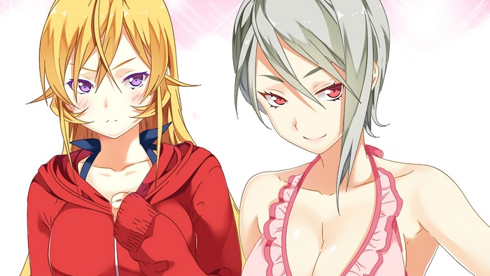 Alice Nakiri and Erina Nakiri from Food Wars