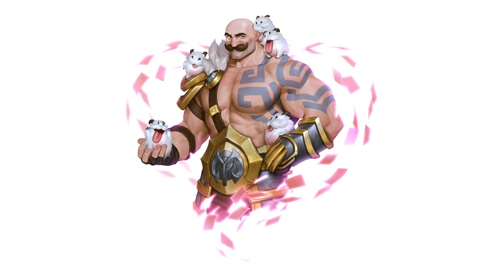 Braum from League of Legends with Poros