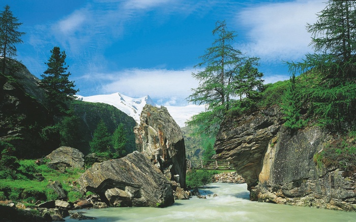 Mountain river flowing through a rocky gorge with snow-capped mountains in the background