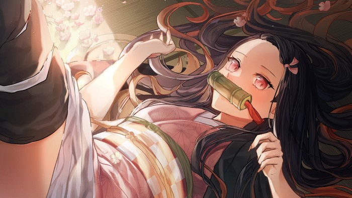 Nezuko Kamado from Demon Slayer