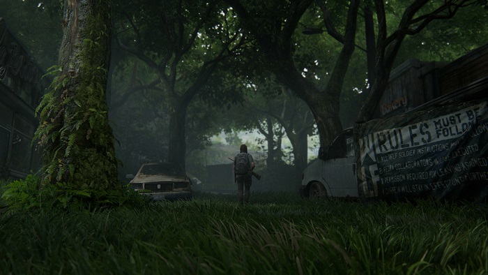 The Last of Us Part 2, Ellie, 4K