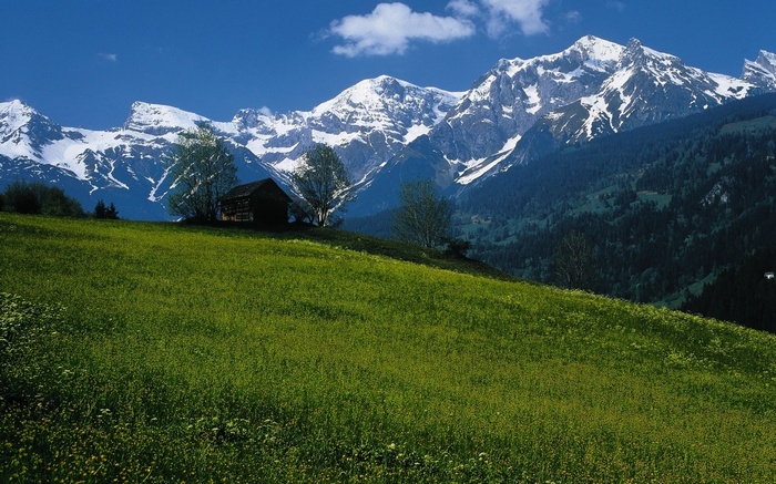 Green meadow with wooden cabin and snow-capped mountains