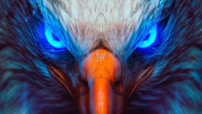 Eagle Eye, Digital Art, 4K