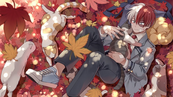 Shoto Todoroki, Cats, [My Hero Academia], 4K