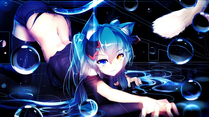 Anime, Neko Girl, Heterochromia, 4K