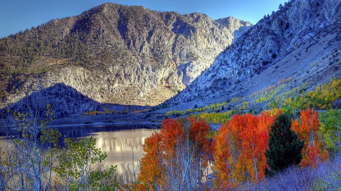 Autumn trees by a mountain lake