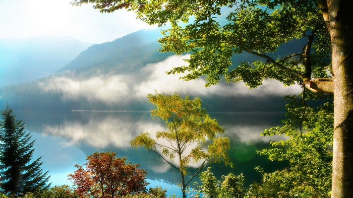 Misty lake and mountains with trees in foreground