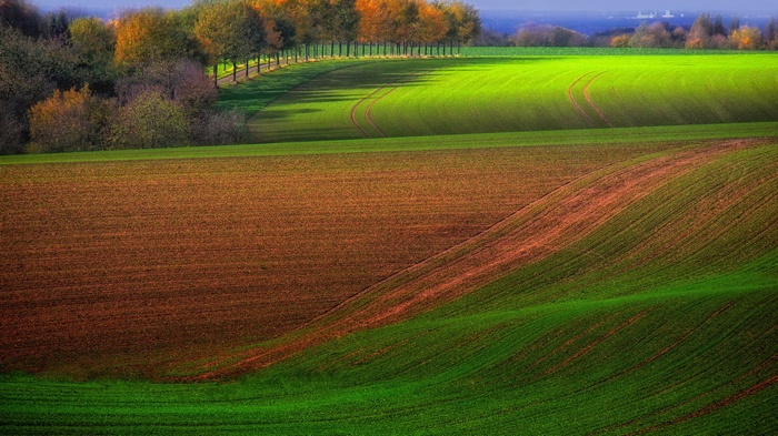 Rolling hills with cultivated fields in autumn