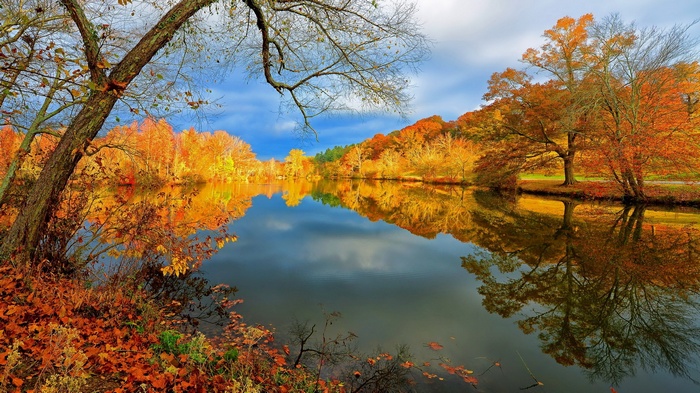 Autumn trees reflecting in a calm lake