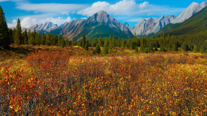 Autumn landscape with mountains and forest