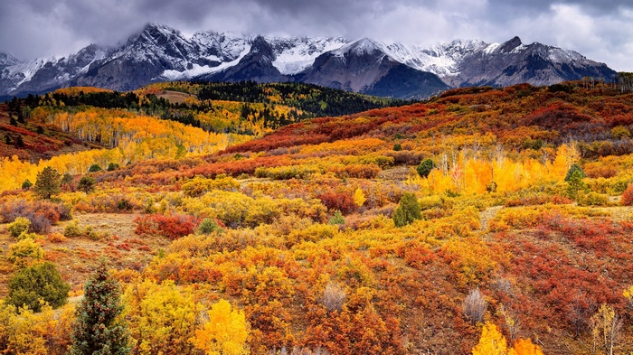Autumn mountain landscape with colorful trees and snow-capped peaks