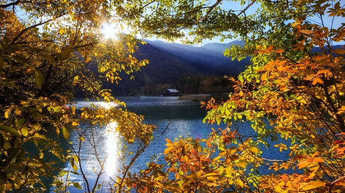 Autumn trees frame a lake with a distant house
