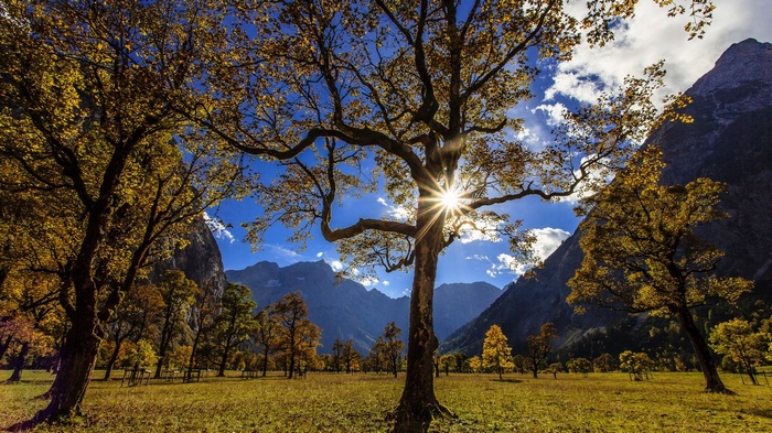 Autumn trees in a mountain valley with sunburst