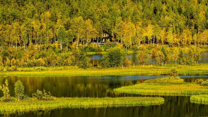 House in a forest by a lake in autumn