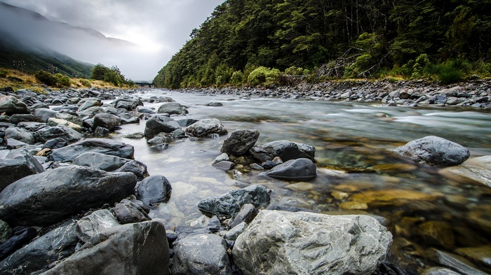 Rocky river flowing through a forest with misty mountains