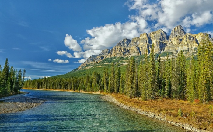River flowing by a forest and mountains under a blue sky