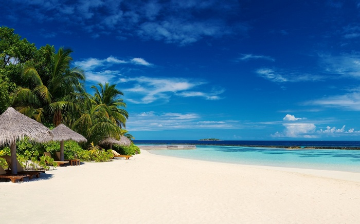 Tropical beach with palm trees and thatched umbrellas