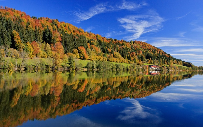 Autumn forest reflected in a calm lake under a blue sky