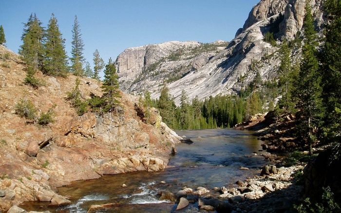 Mountainous landscape with a river and pine trees