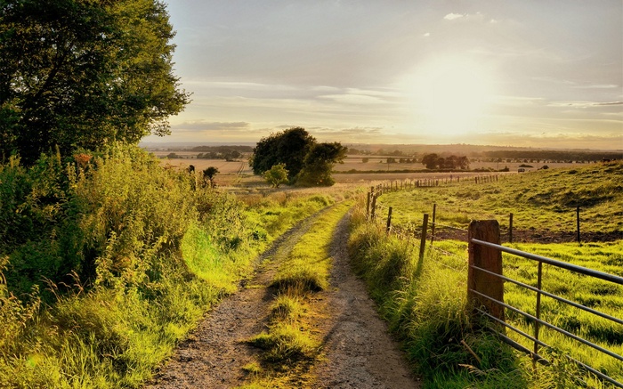Dirt path through a grassy field at sunset