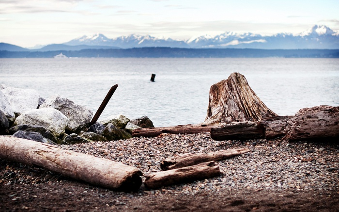 Driftwood on a rocky shore with mountains in the distance