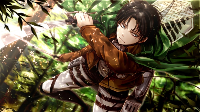 Levi, Attack on Titan, 4K