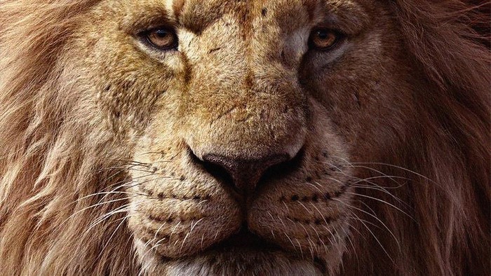 Mufasa from The Lion King 4K