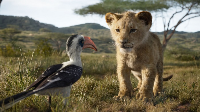 Simba and Zazu from The Lion King 4K