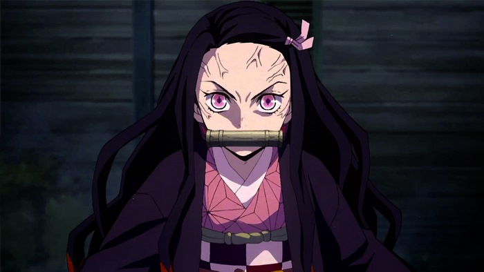 Nezuko Kamado from Demon Slayer