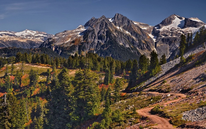 Mountain landscape with trees and a dirt road