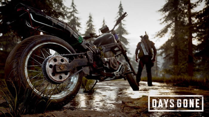Days Gone 4K