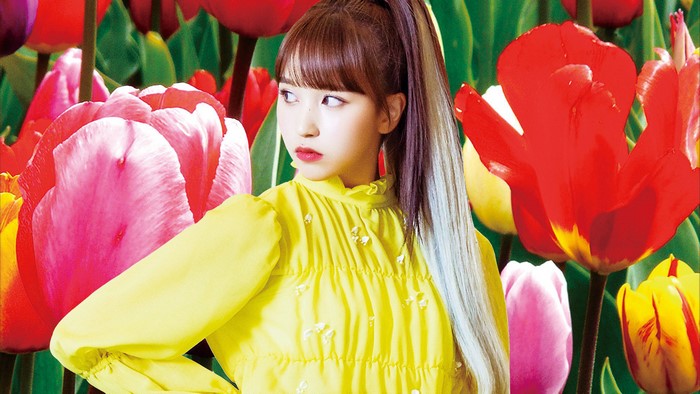 TWICE, Fancy You, Mina, 4K