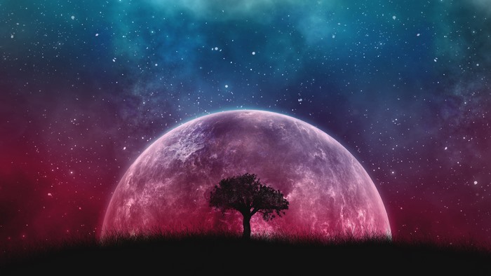 Silhouette of a tree against a large pink moon