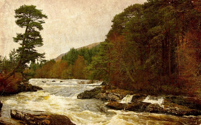 River flowing through a forest with textured overlay