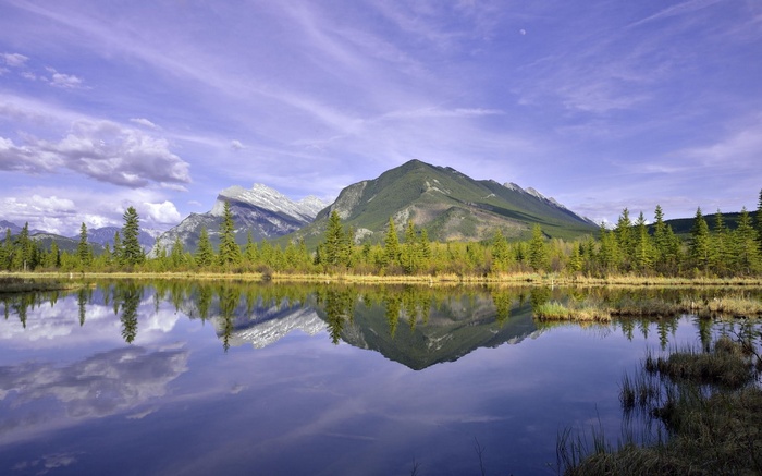 Mountain lake reflection with pine trees and sky