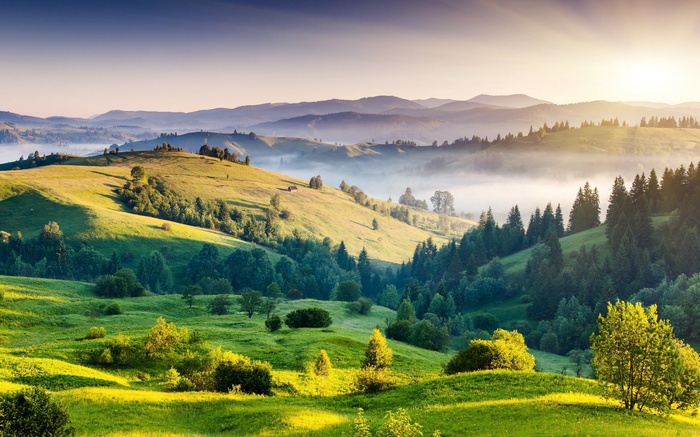 Rolling hills with trees and fog at sunrise