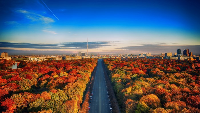 Berlin cityscape with autumn trees and road