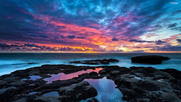 Sea Sunset Horizon Seascape Nature 4K
