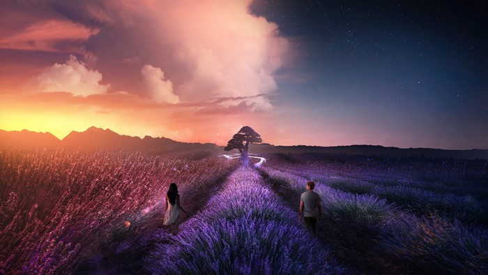 Couple walking in lavender field at sunset with tree