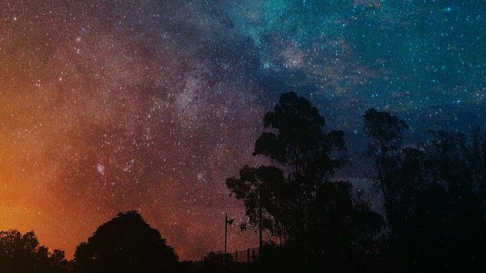 Night Sky with Stars and Silhouetted Trees 4K