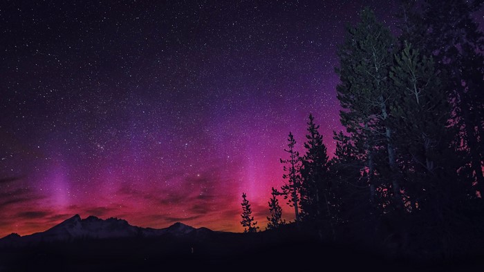 Night sky with aurora borealis over mountains and trees, 4K